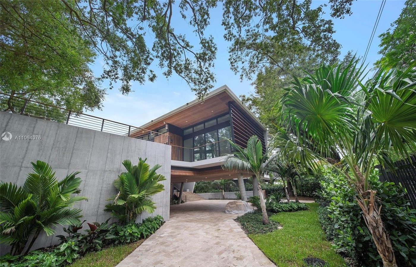 Entry approach beneath the angled roof and tree canopy